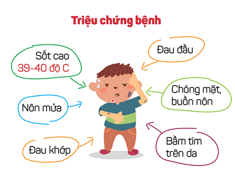 Cách phòng chống bệnh viêm não trong mùa hè